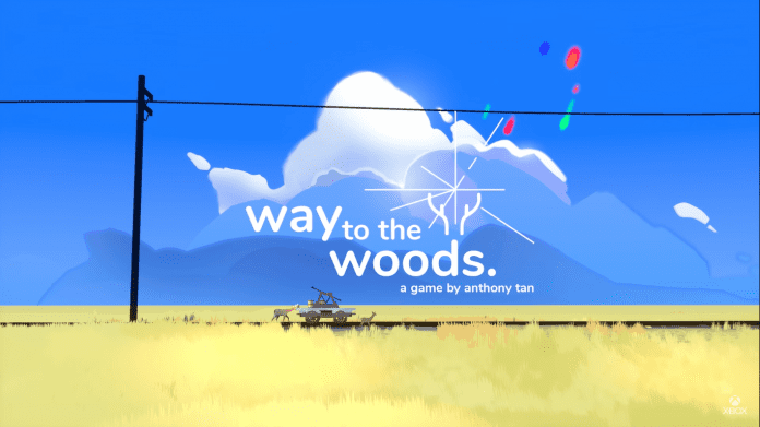 way to the woods